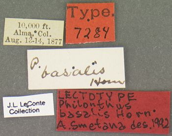 Media type: image;   Entomology 7284 Aspect: labels